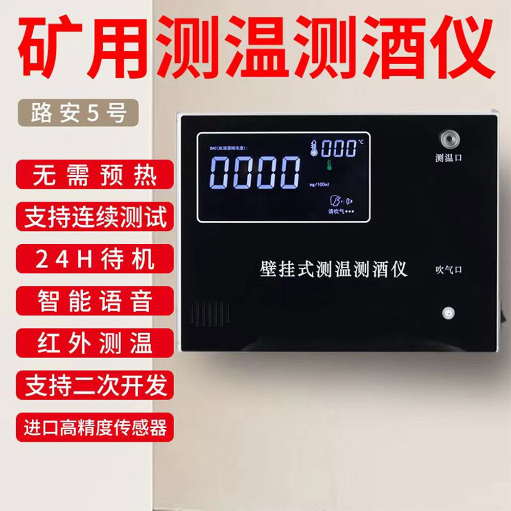 路安五号（壁挂机）